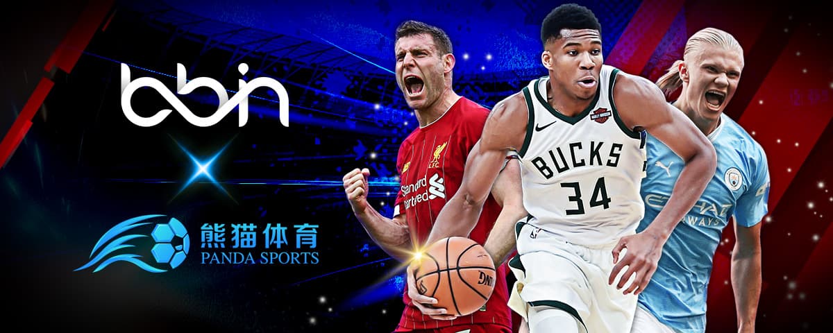 终于在今年
