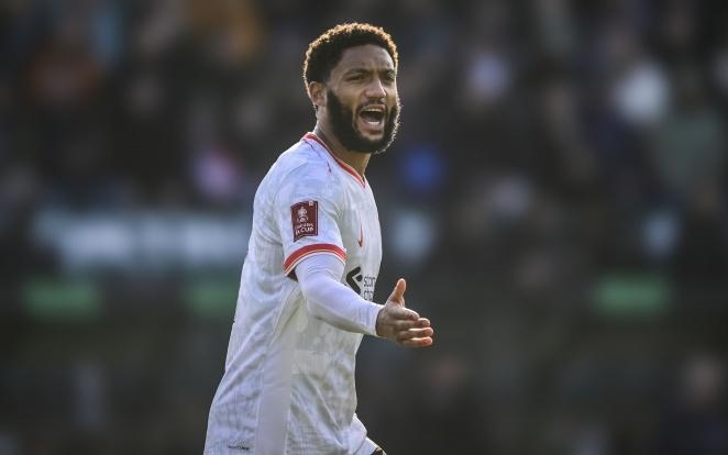 而缺乏浓眉 而缺乏浓眉