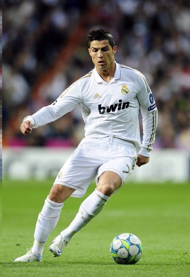 见识到了全 见识到了全